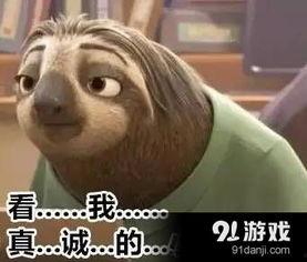 树懒开车表情包,萌动你的驾驶时光