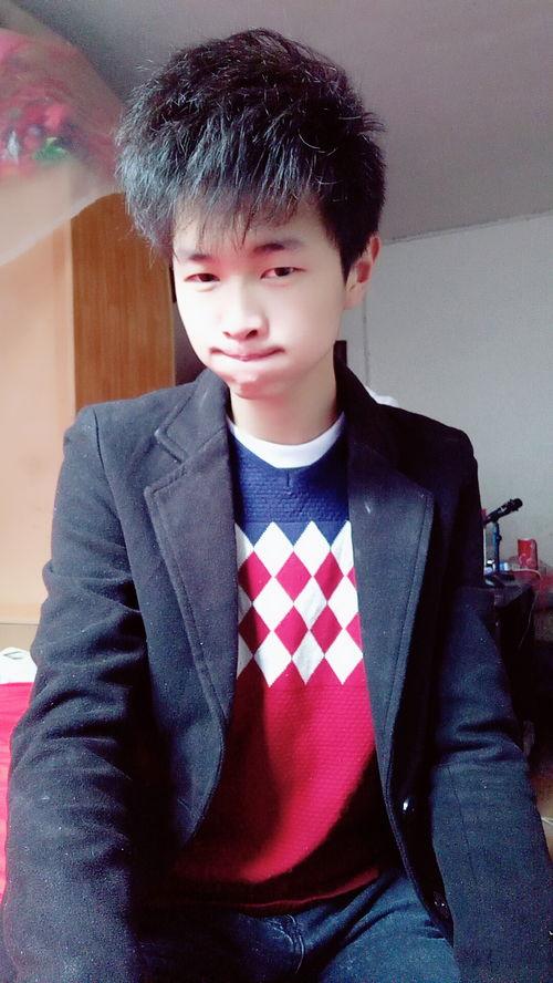 贾淋个人资料,才华横溢的年轻艺术家，探索艺术与生活的完美融合