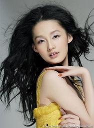 所有明星的图片,揭秘娱乐圈明星风采瞬间