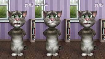 搞笑汤母猫视频